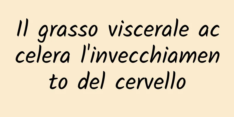 Il grasso viscerale accelera l'invecchiamento del cervello