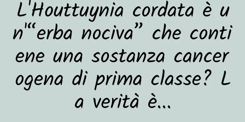 L'Houttuynia cordata è un'“erba nociva” che contiene una sostanza cancerogena di prima classe? La verità è...
