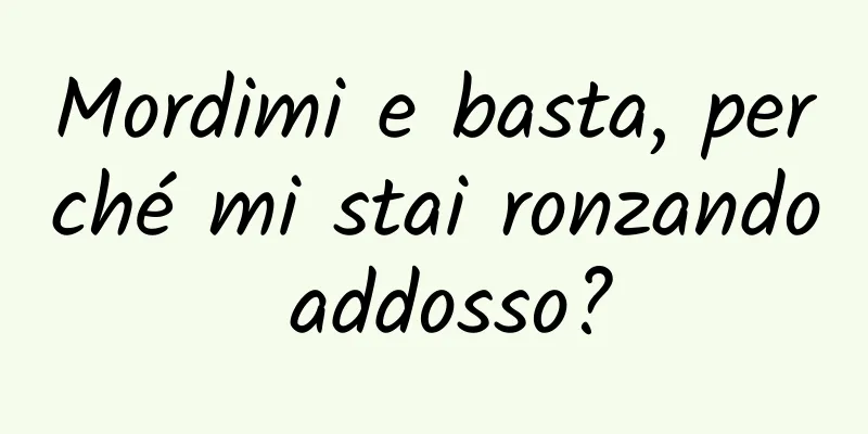 Mordimi e basta, perché mi stai ronzando addosso?