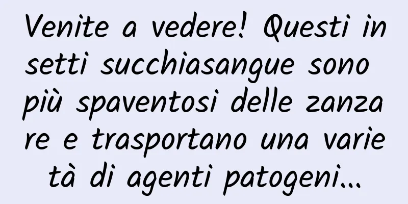 Venite a vedere! Questi insetti succhiasangue sono più spaventosi delle zanzare e trasportano una varietà di agenti patogeni...