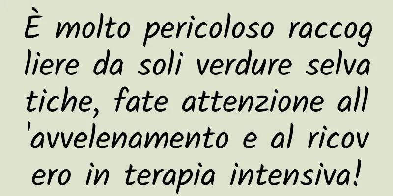 È molto pericoloso raccogliere da soli verdure selvatiche, fate attenzione all'avvelenamento e al ricovero in terapia intensiva!