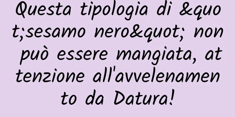 Questa tipologia di "sesamo nero" non può essere mangiata, attenzione all'avvelenamento da Datura!