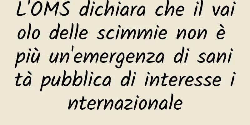 L'OMS dichiara che il vaiolo delle scimmie non è più un'emergenza di sanità pubblica di interesse internazionale