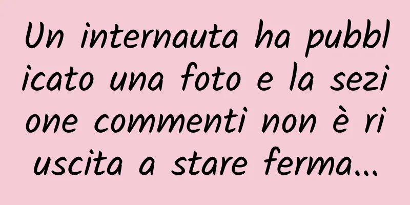 Un internauta ha pubblicato una foto e la sezione commenti non è riuscita a stare ferma...