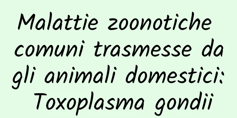 Malattie zoonotiche comuni trasmesse dagli animali domestici: Toxoplasma gondii