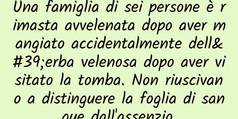 Una famiglia di sei persone è rimasta avvelenata dopo aver mangiato accidentalmente dell'erba velenosa dopo aver visitato la tomba. Non riuscivano a distinguere la foglia di sangue dall'assenzio.