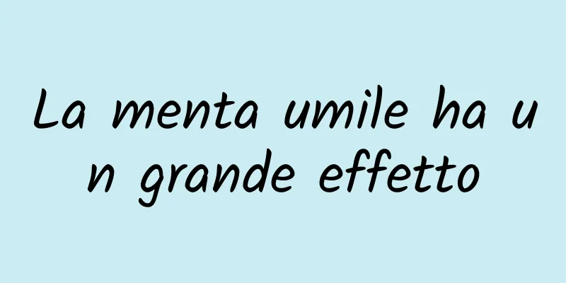 La menta umile ha un grande effetto