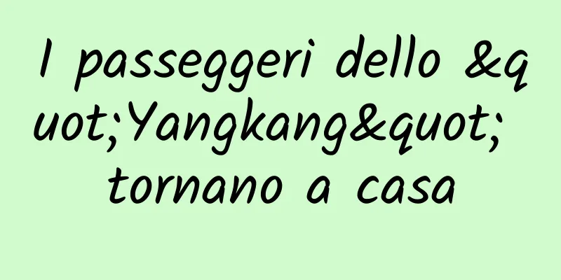 I passeggeri dello "Yangkang" tornano a casa