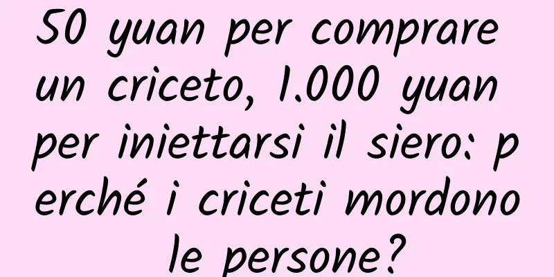 50 yuan per comprare un criceto, 1.000 yuan per iniettarsi il siero: perché i criceti mordono le persone?