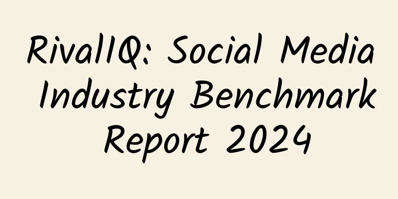 RivalIQ: Social Media Industry Benchmark Report 2024