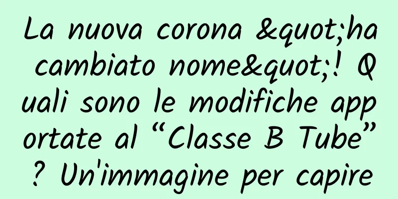 La nuova corona "ha cambiato nome"! Quali sono le modifiche apportate al “Classe B Tube”? Un'immagine per capire