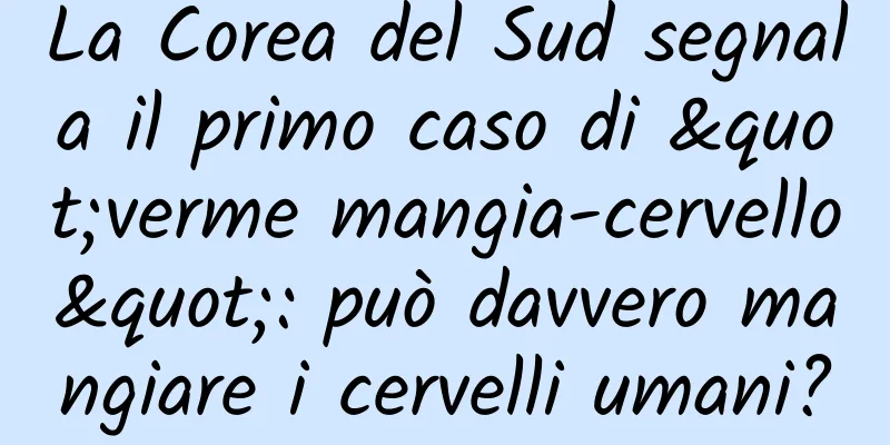 La Corea del Sud segnala il primo caso di "verme mangia-cervello": può davvero mangiare i cervelli umani?