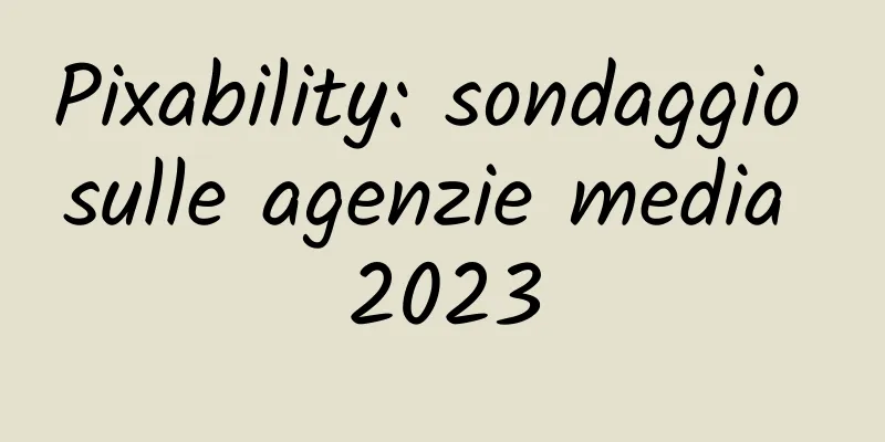 Pixability: sondaggio sulle agenzie media 2023