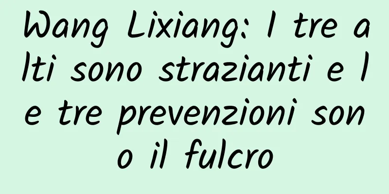 Wang Lixiang: I tre alti sono strazianti e le tre prevenzioni sono il fulcro
