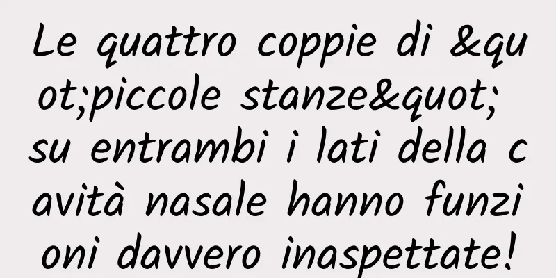 Le quattro coppie di "piccole stanze" su entrambi i lati della cavità nasale hanno funzioni davvero inaspettate!