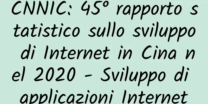 CNNIC: 45° rapporto statistico sullo sviluppo di Internet in Cina nel 2020 - Sviluppo di applicazioni Internet