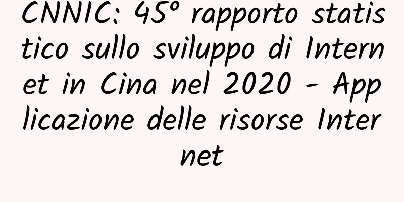 CNNIC: 45° rapporto statistico sullo sviluppo di Internet in Cina nel 2020 - Applicazione delle risorse Internet