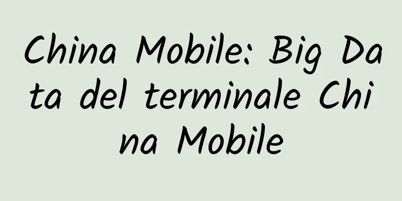 China Mobile: Big Data del terminale China Mobile