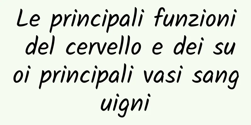 Le principali funzioni del cervello e dei suoi principali vasi sanguigni