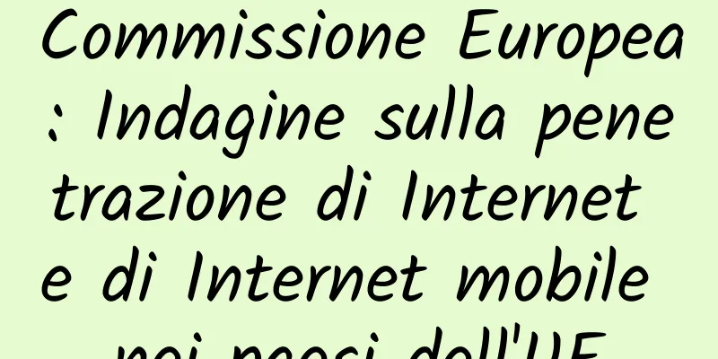 Commissione Europea: Indagine sulla penetrazione di Internet e di Internet mobile nei paesi dell'UE