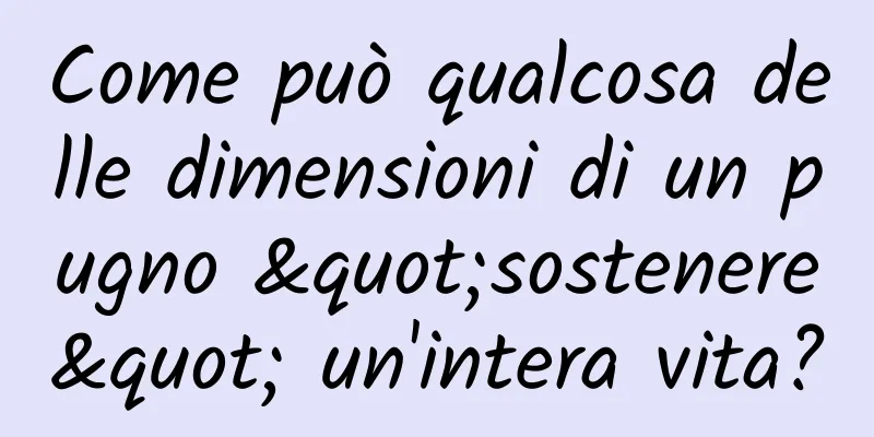 Come può qualcosa delle dimensioni di un pugno "sostenere" un'intera vita?