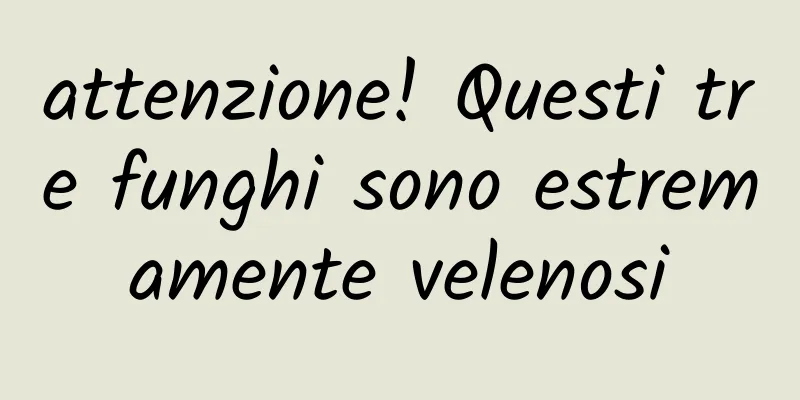 attenzione! Questi tre funghi sono estremamente velenosi