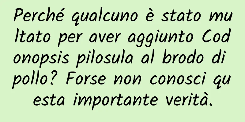 Perché qualcuno è stato multato per aver aggiunto Codonopsis pilosula al brodo di pollo? Forse non conosci questa importante verità.