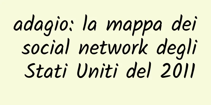 adagio: la mappa dei social network degli Stati Uniti del 2011