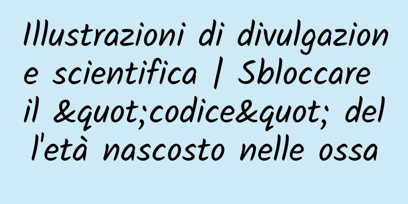 Illustrazioni di divulgazione scientifica | Sbloccare il "codice" dell'età nascosto nelle ossa