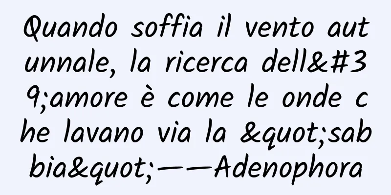 Quando soffia il vento autunnale, la ricerca dell'amore è come le onde che lavano via la "sabbia"——Adenophora