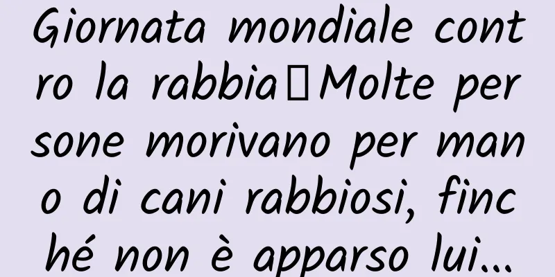 Giornata mondiale contro la rabbia丨Molte persone morivano per mano di cani rabbiosi, finché non è apparso lui...