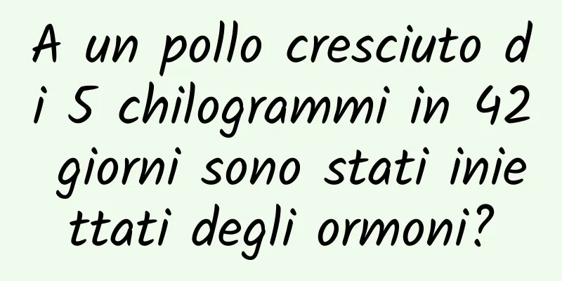 A un pollo cresciuto di 5 chilogrammi in 42 giorni sono stati iniettati degli ormoni?