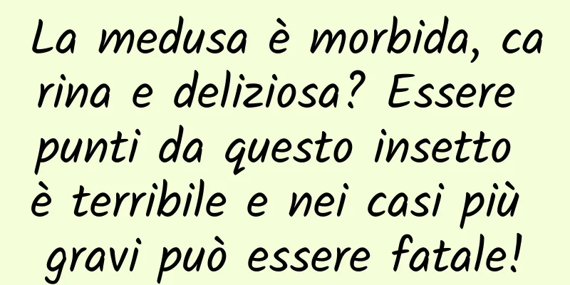 La medusa è morbida, carina e deliziosa? Essere punti da questo insetto è terribile e nei casi più gravi può essere fatale!
