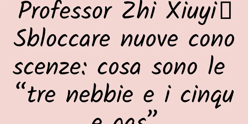 Professor Zhi Xiuyi丨Sbloccare nuove conoscenze: cosa sono le “tre nebbie e i cinque gas”