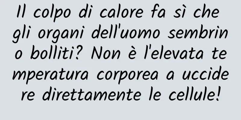 Il colpo di calore fa sì che gli organi dell'uomo sembrino bolliti? Non è l'elevata temperatura corporea a uccidere direttamente le cellule!