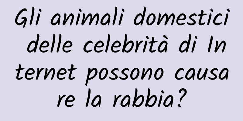 Gli animali domestici delle celebrità di Internet possono causare la rabbia?
