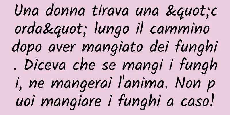 Una donna tirava una "corda" lungo il cammino dopo aver mangiato dei funghi. Diceva che se mangi i funghi, ne mangerai l'anima. Non puoi mangiare i funghi a caso!