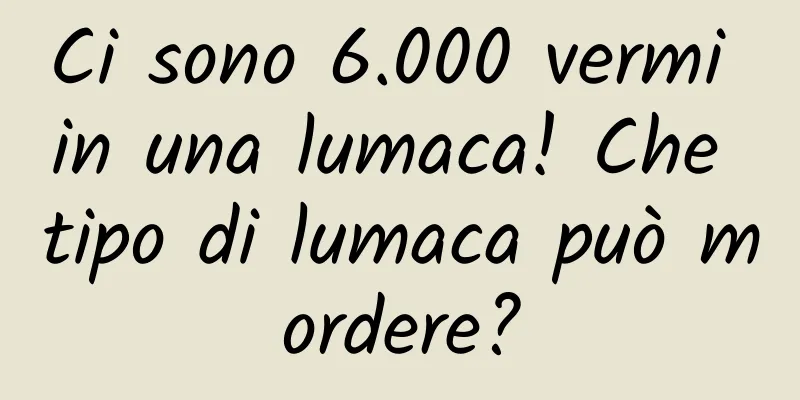 Ci sono 6.000 vermi in una lumaca! Che tipo di lumaca può mordere?