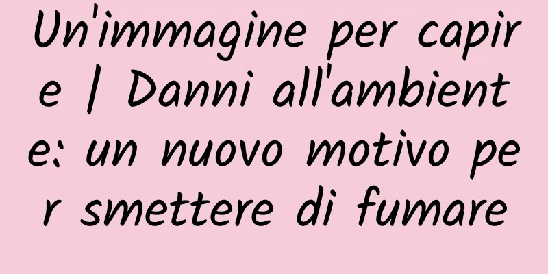 Un'immagine per capire | Danni all'ambiente: un nuovo motivo per smettere di fumare