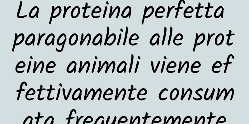 La proteina perfetta paragonabile alle proteine ​​animali viene effettivamente consumata frequentemente