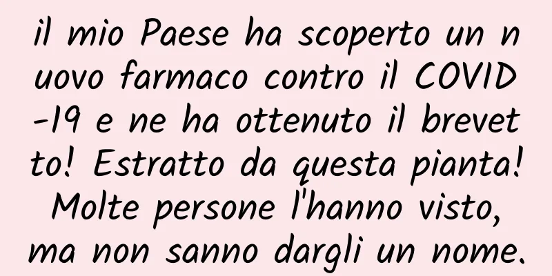il mio Paese ha scoperto un nuovo farmaco contro il COVID-19 e ne ha ottenuto il brevetto! Estratto da questa pianta! Molte persone l'hanno visto, ma non sanno dargli un nome.