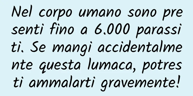 Nel corpo umano sono presenti fino a 6.000 parassiti. Se mangi accidentalmente questa lumaca, potresti ammalarti gravemente!