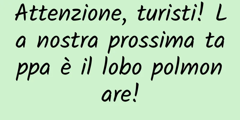 Attenzione, turisti! La nostra prossima tappa è il lobo polmonare!