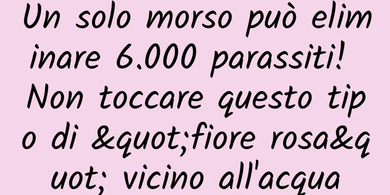 Un solo morso può eliminare 6.000 parassiti! Non toccare questo tipo di "fiore rosa" vicino all'acqua