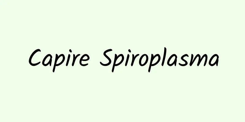 Capire Spiroplasma