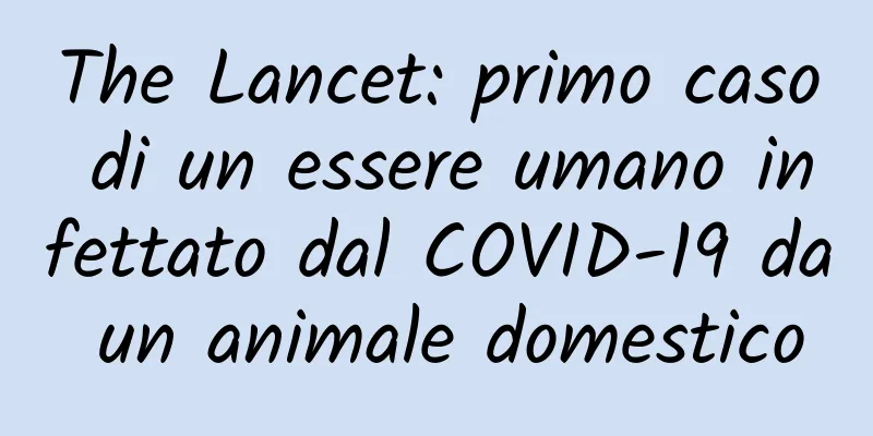 The Lancet: primo caso di un essere umano infettato dal COVID-19 da un animale domestico