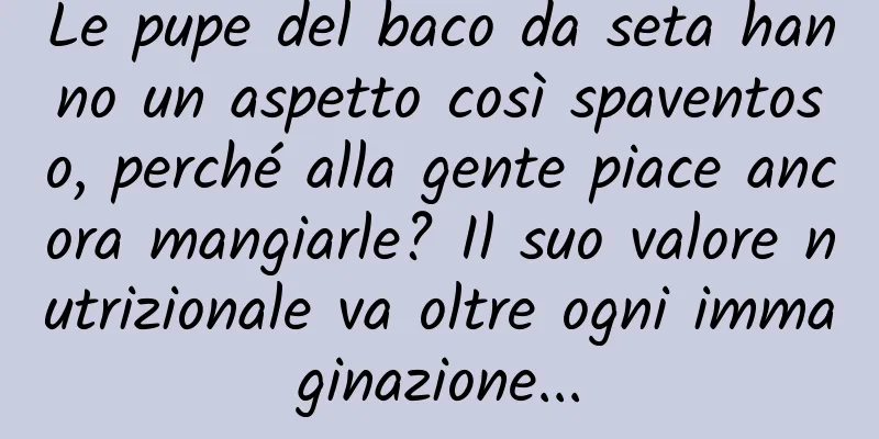 Le pupe del baco da seta hanno un aspetto così spaventoso, perché alla gente piace ancora mangiarle? Il suo valore nutrizionale va oltre ogni immaginazione...