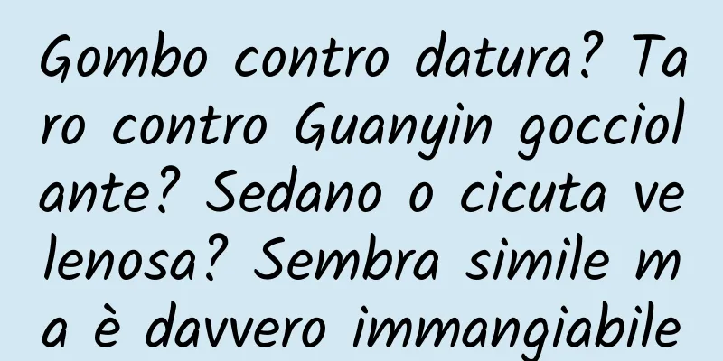 Gombo contro datura? Taro contro Guanyin gocciolante? Sedano o cicuta velenosa? Sembra simile ma è davvero immangiabile