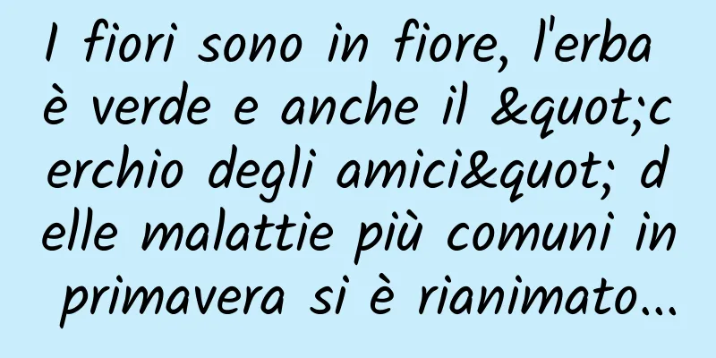 I fiori sono in fiore, l'erba è verde e anche il "cerchio degli amici" delle malattie più comuni in primavera si è rianimato...