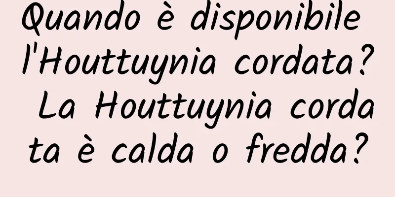 Quando è disponibile l'Houttuynia cordata? La Houttuynia cordata è calda o fredda?